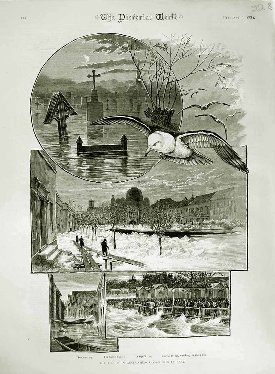 Original Old Antique Print 1883 Floods Austro-Hungary Cemetery Bridge Street