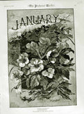 Original Old Antique Print 1883 Flowers Month January Nature Pictorial World
