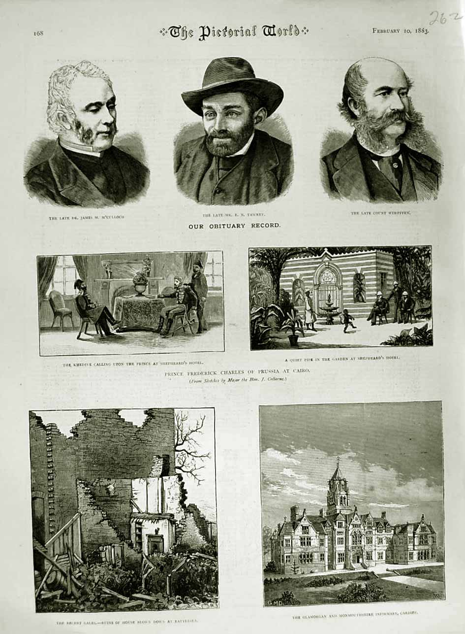 Old Antique Print 1883 M'Culloch Tawney Hospital Cardiff Shepheard Hotel 19th