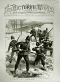 Original Old Antique Print 1883 Ta Siers Volunteer Review Brighton Newmarket