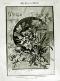 Original Old Antique Print 1883 Flowers Month March Lilies Pictorial World 19th