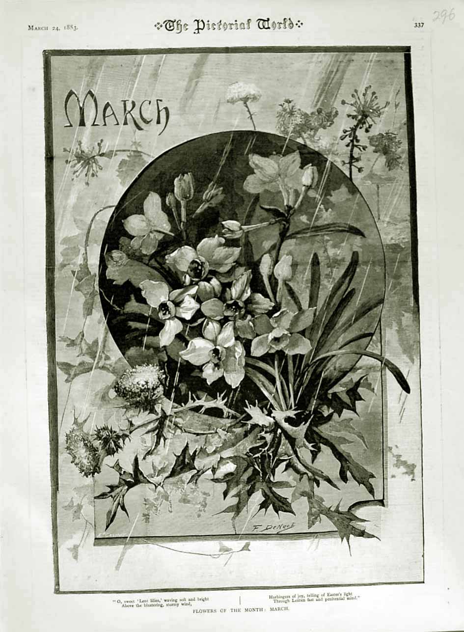 Original Old Antique Print 1883 Flowers Month March Lilies Pictorial World 19th