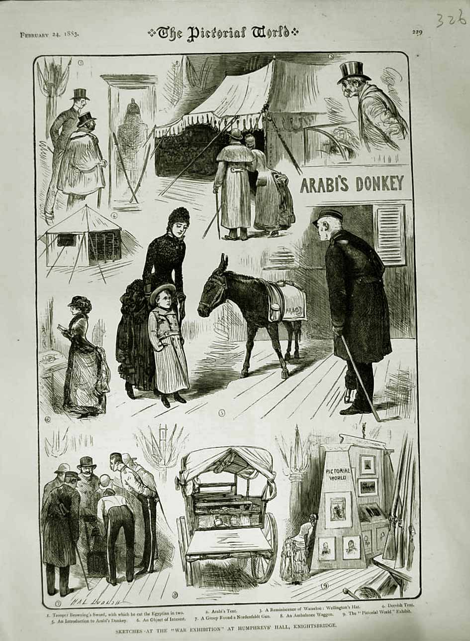 Old Antique Print 1883 War Exhibition Humphrey'S Hall Knightsbridge Arabi 19th