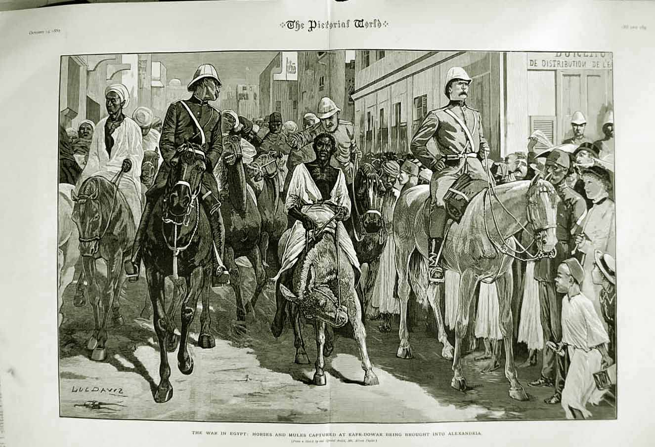 Old Antique Print War Egypt Horses Mules Kafr-Dowar Alexandria Army 1882 19th