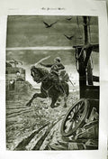 Original Old Antique Print 1882 War Siers Horse Shooting Gun Birds Art Ludlow