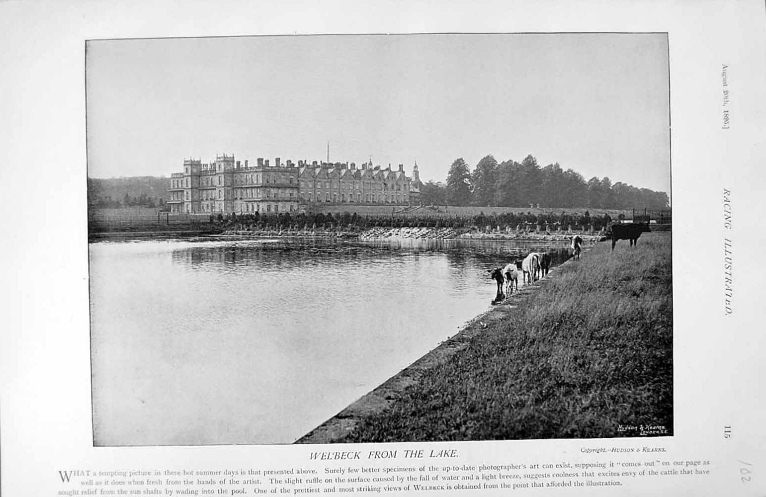 Original Old Antique Print 1895 Horse Racing View Welbeck Lake Photograph 19th