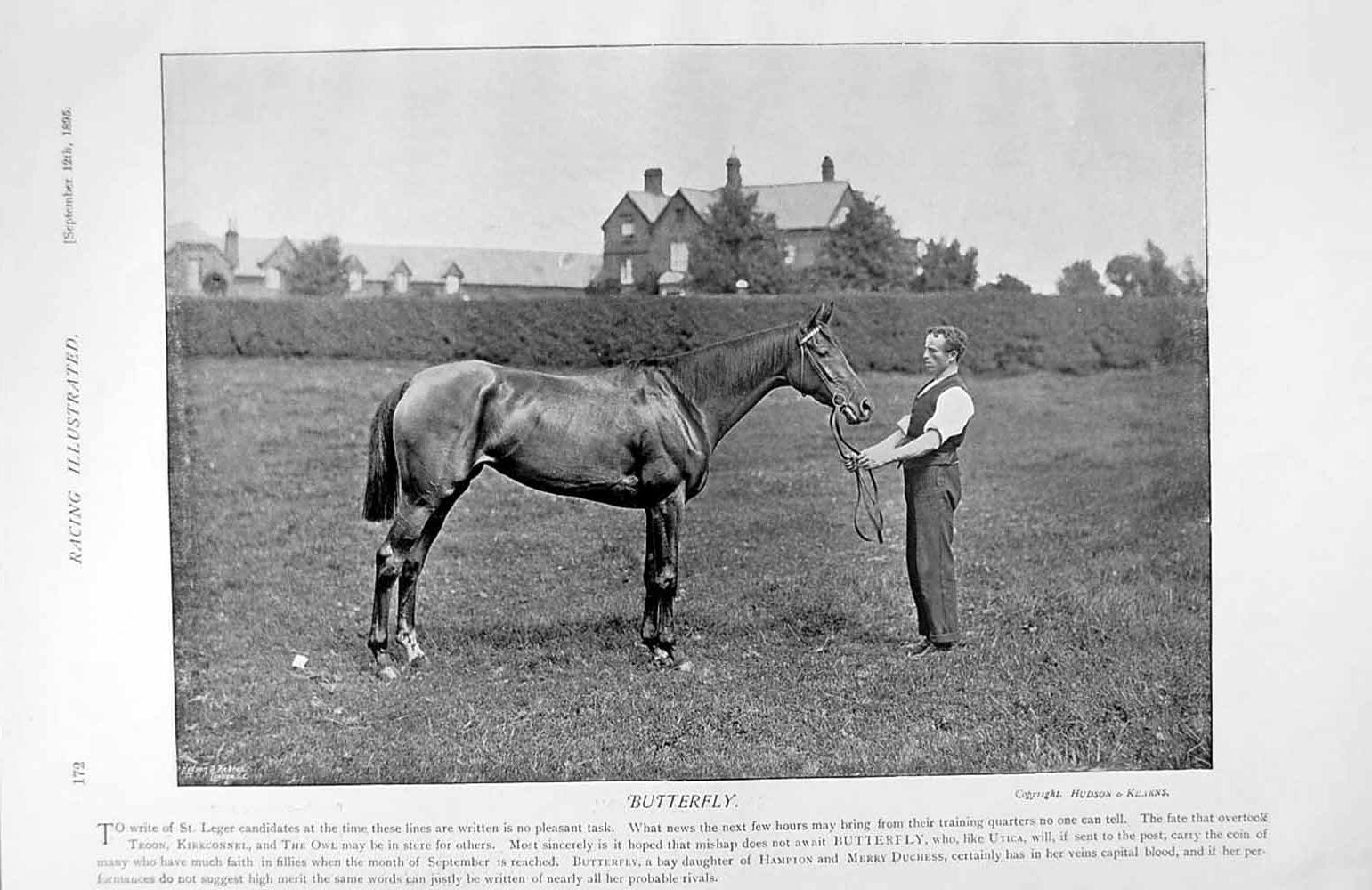 Original Old Antique Print 1895 Horse Racing Butterfly Salutation Hotel Sport