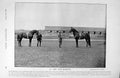 Old Antique Print 1895 Horse Racing St. Serf Raeburn Herbert Toon Jockey 19th