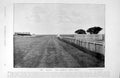 Old Antique Print 1895 Horse Racing Bushes Rowley Mile Finish Galeazzo 19th