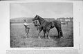 Old Antique Print 1895 Horse Racing Postscript Foal Irish Wake Gay Boy 19th
