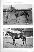 Original Old Antique Print 1895 Horse Racing Sport Indian Queen Sir Benjamin