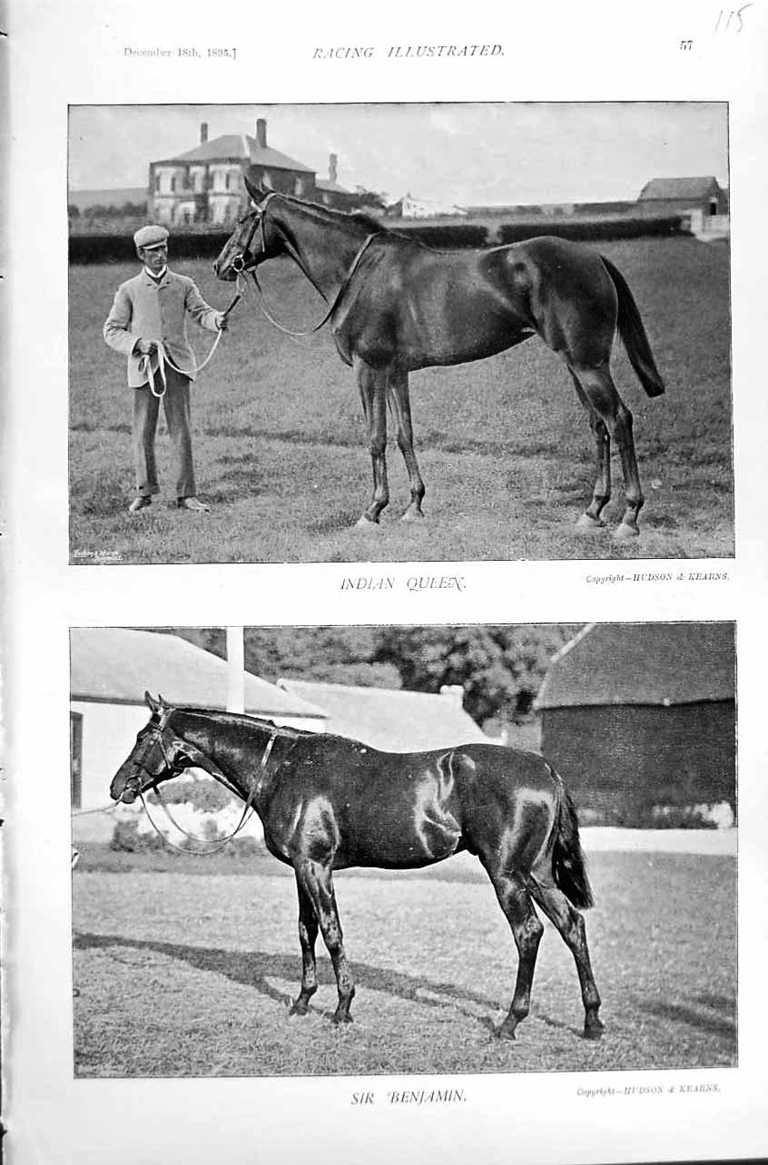 Original Old Antique Print 1895 Horse Racing Sport Indian Queen Sir Benjamin
