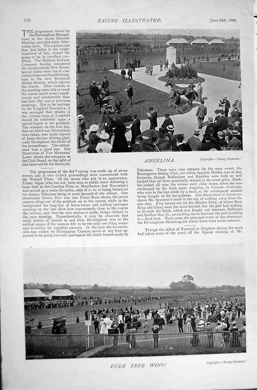 Old Antique Print 1895 Horse Racing Sport Birmingham Angelina Dule Tree 19th