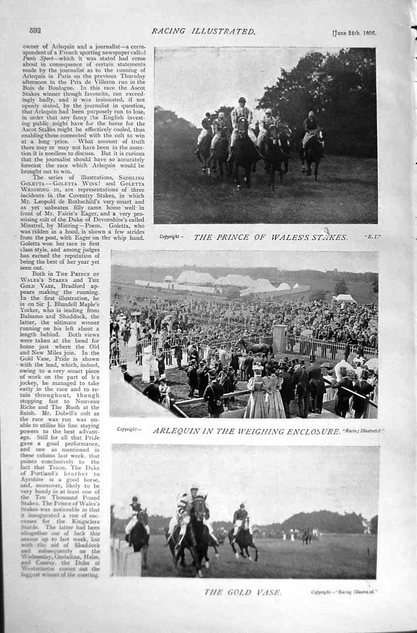 Original Old Antique Print 1896 Horse Racing Sport Goletta Arlequin GVase 19th
