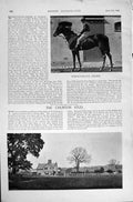 Antique Old Print 1896 Horse Racing Sport Oaks Canterbury Pilgrim Churton 19th