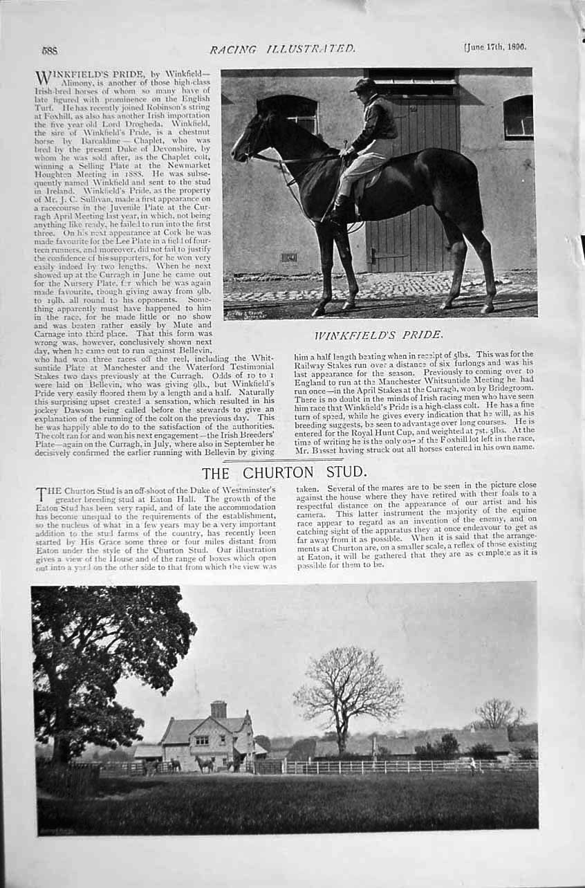 Antique Old Print 1896 Horse Racing Sport Oaks Canterbury Pilgrim Churton 19th