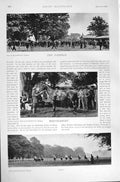 Original Old Antique Print 1896 Horse Racing Sport Hamilton Park Whittlebury