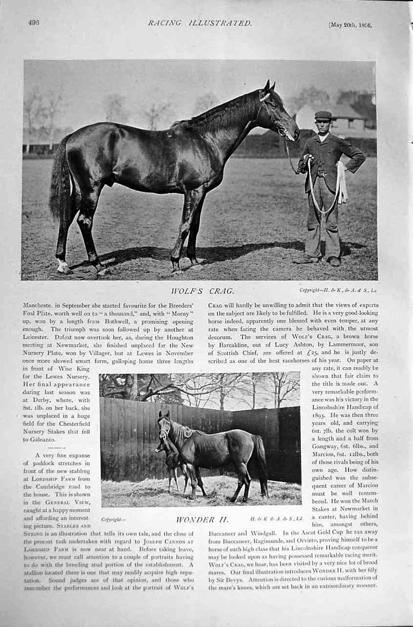 Old Antique Print Wolf'S Crag Wonder Ii 1896 Horse Racing Sport Stable 19th