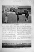 Old Antique Print Boxer Marble Landmark Stables 1896 Horse Racing Sport 19th