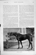Original Old Antique Print 1896 Horse Racing Sport Birmingham Stand Lady Helen