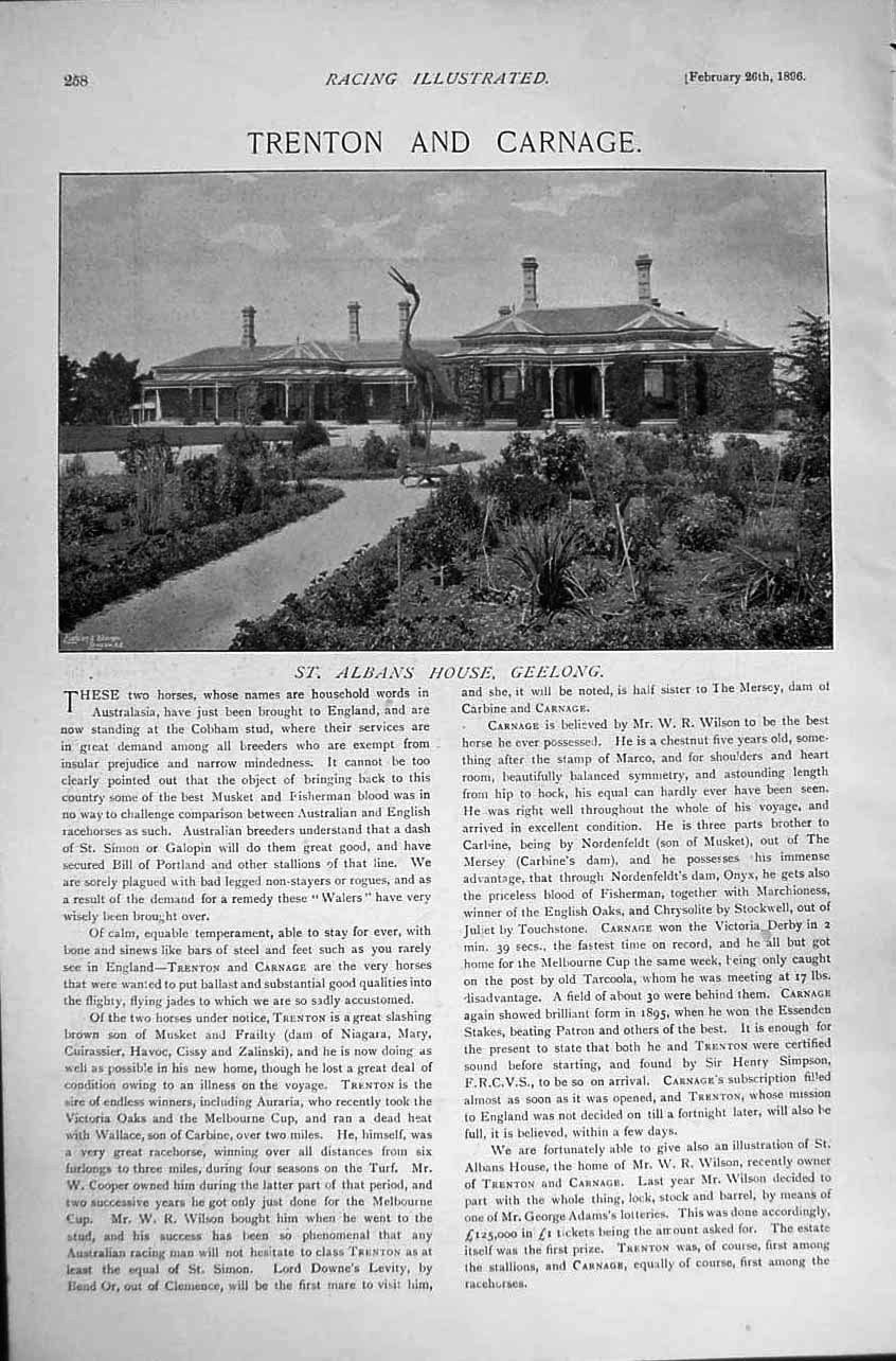 Original Old Antique Print 1896 Horse Racing Sport Lord Rosslyn Albans Geelong