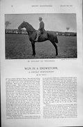 Original Old Antique Print Parkistan Dollery President 1895 Horse Racing Sport