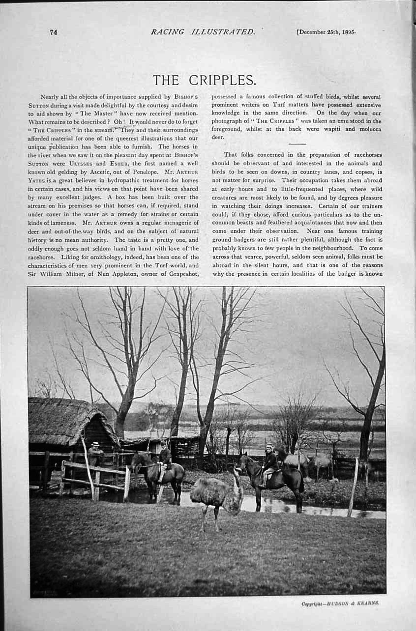 Original Old Antique Print 1895 Horse Racing Sport Cripples Walpole Lawson Loe