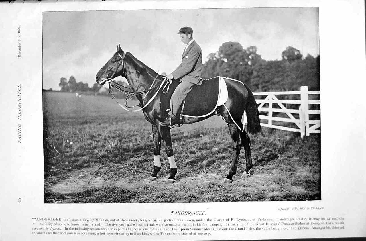 Original Old Antique Print 1895 Wise Virgin Bentley Maxim Horse Racing Sport