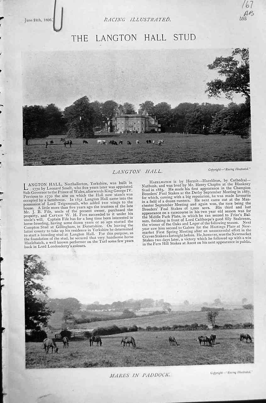 Antique Old Print 1896 Horse Racing Sport Langton Hall Hazelhatch Counsel 19th