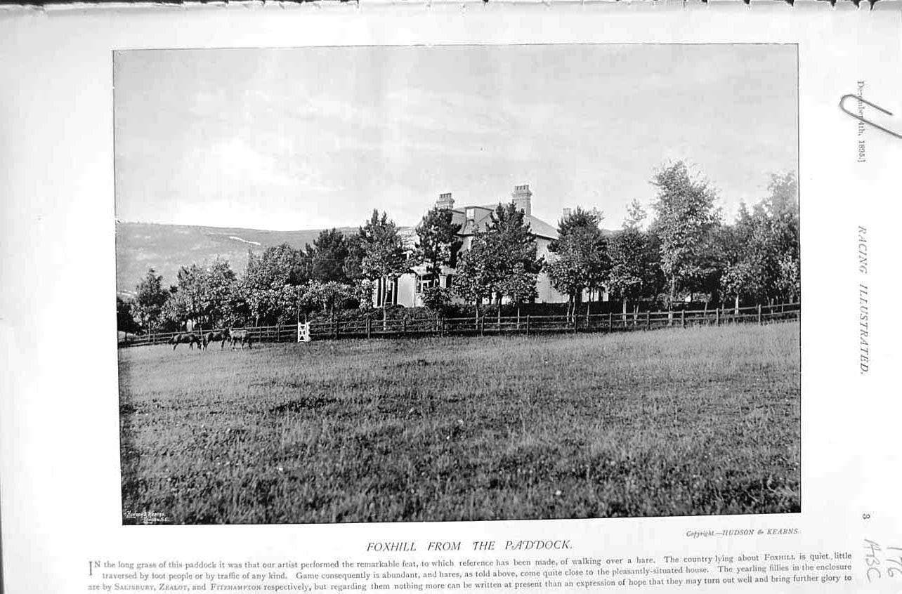 Original Old Antique Print 1896 Horse Racing Sport Foxhill Stable Yard Paddock
