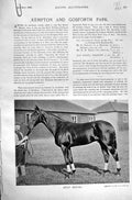 Original Old Antique Print Spur Royal 1896 Horse Racing Sport Kempton Gosforth