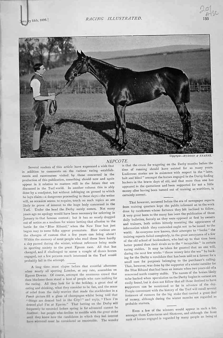 Old Antique Print Kempton 1896 Horse Racing Sport Nepcote Iping Dollar 19th