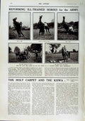 Original Old Antique Print 1916 War Horses Training Depot Shrewsbury England