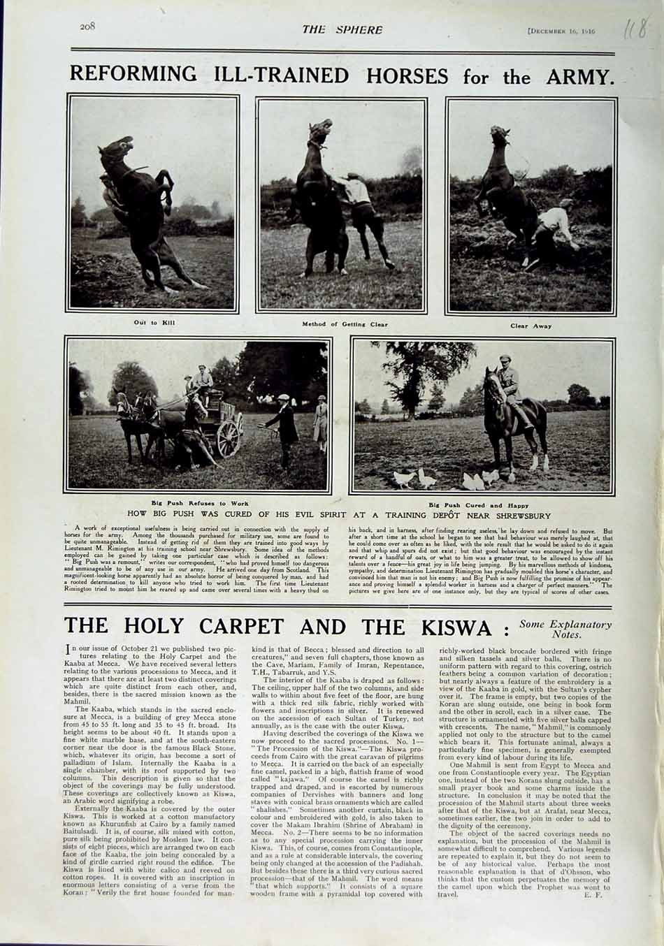 Original Old Antique Print 1916 War Horses Training Depot Shrewsbury England
