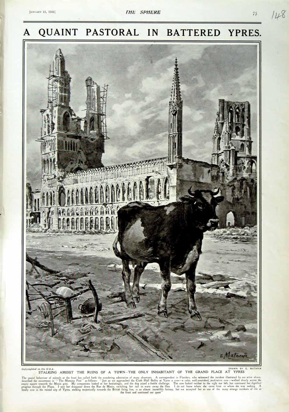 Original Old Antique Print 1916 Cow Grand Palace Ypres War Tuins Building 20th