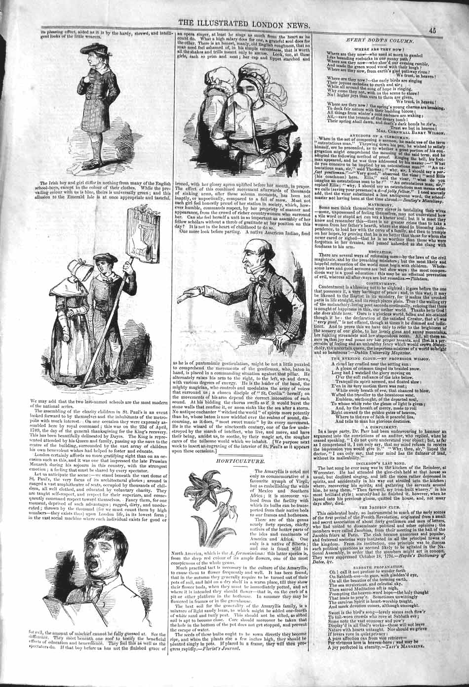 Original Old Antique Print 1842 Irish Boy People Horticulture Plant Flower 19th