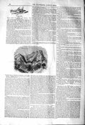 Original Old Antique Print 1842 View Castle Mountains Trees 19th