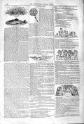 Original Old Antique Print 1842 Angling Fishing Grayling London 19th