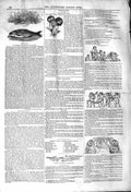 Original Old Antique Print 1842 Angling Fishing Chur Floriculture Heart'S-Ease