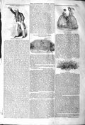 Old Antique Print 1842 Portrait Colonel Sibthorp Kennington Lane Angling 19th