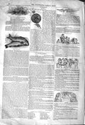 Original Old Antique Print 1842 Angling Fishing Carp Tench Floriculture Flowers