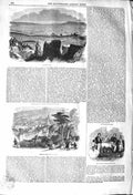 Original Old Antique Print 1842 Dublin Bay Ireland View Bath Little Horse Java