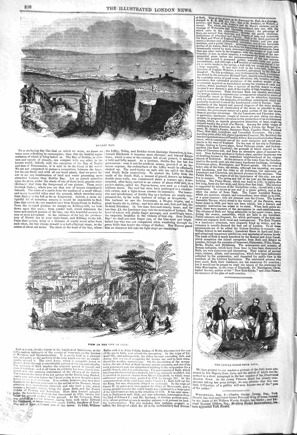 Original Old Antique Print 1842 Dublin Bay Ireland View Bath Little Horse Java