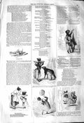 Original Old Antique Print 1842 Literature Illustrations Red Riding Ho Victorian