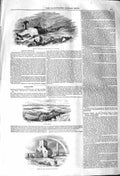 Original Old Antique Print 1842 Grouse Shooting Scotland Lough Erne Devenish