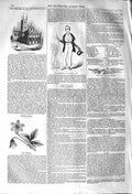 Original Old Antique Print 1842 Buckestone Married Life Saviours Church Anemone
