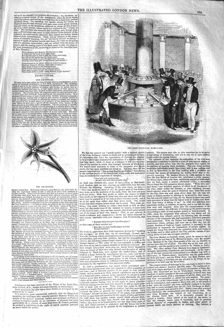Original Old Antique Print 1842 Corn Exchange Mark-Lane Amaryllis Flowers 19th