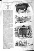 Original Old Antique Print 1842 Farm Sheep Dipping Cattle Feeding Wake Hereford