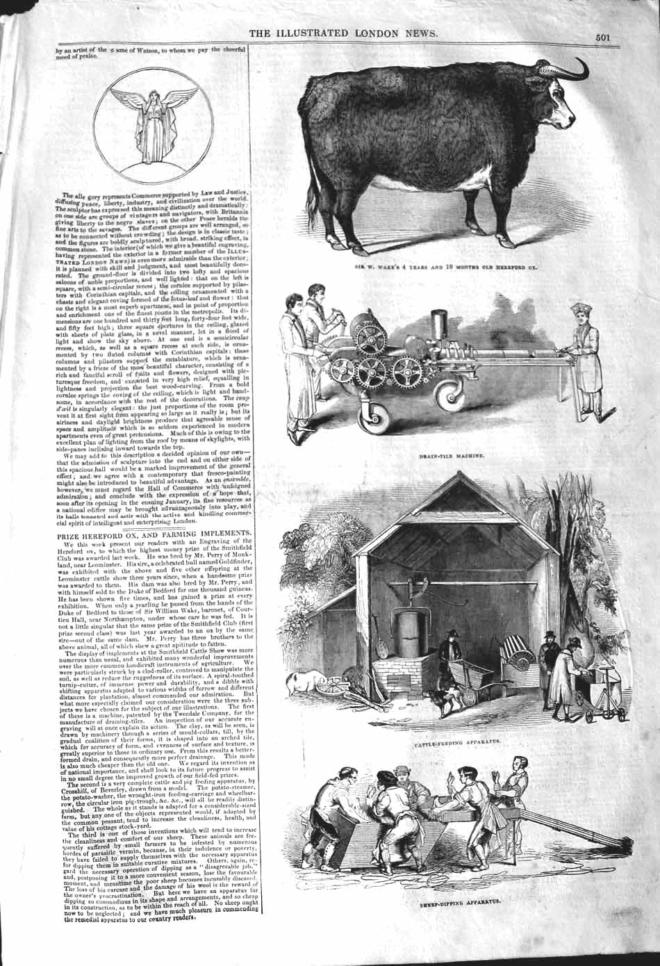 Original Old Antique Print 1842 Farm Sheep Dipping Cattle Feeding Wake Hereford