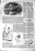 Old Antique Print 1843 Eruption Mount Etna Volcano Spanish Nigella Plant 19th